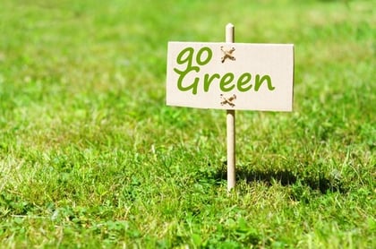 How Can Businesses Go Green on a Budget?